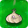 Onion Jack